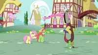 Fluttershy introduces Tree Hugger to Discord S5E7