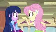 Fluttershy warns Twilight about Sunset EG