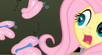 Gasp-Fluttershy-Return-Of-Harmony