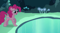 Pinkie Pie says the chant S3E03