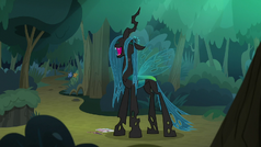 Queen Chrysalis cackling evilly S8E13