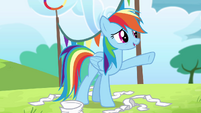 Rainbow Dash chooses Ponyville S4E10