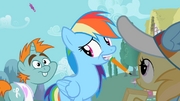 Rainbow Dash yeah yeah S2E8