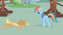 Rainbow looking at flat Applejack S1E04