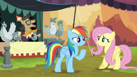 Rainbow tells Fluttershy to stand guard S4E22