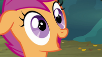 Scootaloo in awe at Rainbow S3E6