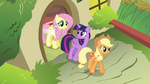 Twilight and Applejack leaving S4E16