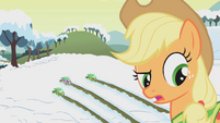 Applejack -awful strong for such a little pony- S1E11