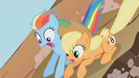 Applejack and Rainbow Dash1 S01E13