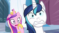 Cadance and Shining Armor shocked S6E2