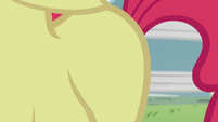 Close-up of Apple Bloom's flank S5E18