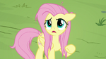 Fluttershy -listen to you for once-- S9E18