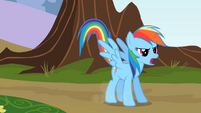 Rainbow Dash dropping down to the ground S2E07