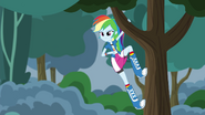 Rainbow Dash spies on Crystal Prep EG3