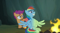 Rainbow Dash spreads her wings and grins S7E16