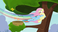 Rainbow Dash swooping into Fluttershy S4E04