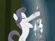 Rarity codiciosa