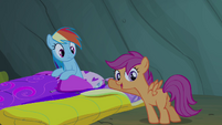 Scootaloo pointing towards Rainbow Dash S3E06