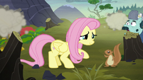 Squirrel thanking Fluttershy for the rescue S5E23