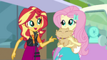 Sunset Shimmer "sweet ride, Fluttershy" CYOE5c.png