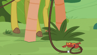 Zecora's gecko pulling the leash S9E18