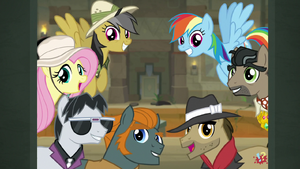 Daring Doubt My Little Pony Friendship is Magic Wiki Fandom