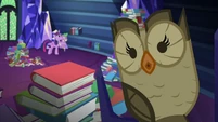 Owlowiscious hoots S5E22