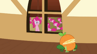 Pinkie Pie clone 'Is that a frog crossed with an orange' S3E3