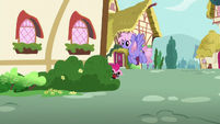 Pinkie Pie hiding behind the house S5E19
