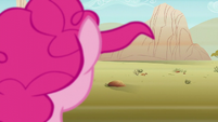 Pinkie staring across the desert S5E11