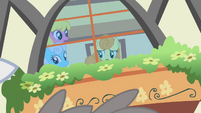Ponies watching the bunny stampede from indoors S1E04