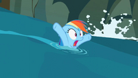 Heeeeeelp!!! Doesn't she know how to swim?!