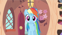 Rainbow Dash sees some weird stuff happening.