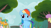 Rainbow Dash wow S2E8