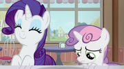 Rarity delighted; Sweetie Belle more discouraged S7E6