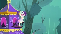 Wow, Rarity just looks good.