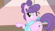 S04E08 Suri do Rarity