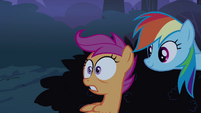 Scootaloo looks at the forest S3E06