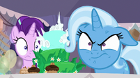 Trixie angrily glaring at Sunburst S9E11