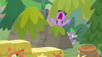 Twilight Sparkle shouting -stop!- S9E5