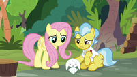 Angel and Dr. Fauna caring for Fluttershy S9E18