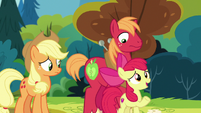Apple Bloom "I ran into Grand Pear yesterday" S7E13
