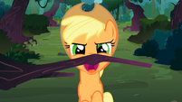 Applejack about to bite the branch S3E9