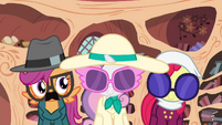 Cutie Mark Crusaders in disguise S4E15