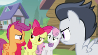 Cutie Mark Crusaders look at each other worried S7E21