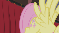 Fluttershy bumps into the curtain S4E14
