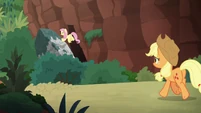 Did Fluttershy just moved a boulder?