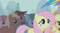 Fluttershy worried look S1E06