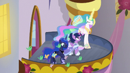 Luna sees birds and butterflies fluttering by S9E26