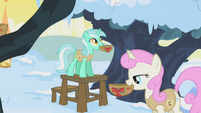 Lyra Heartstrings and Twinkleshine hanging bird nests S01E11